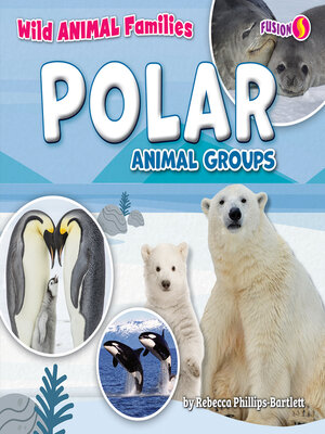 cover image of Polar Animal Groups